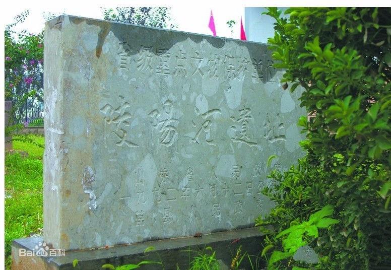 莒縣陵陽河遺址_莒縣考古_最早文字