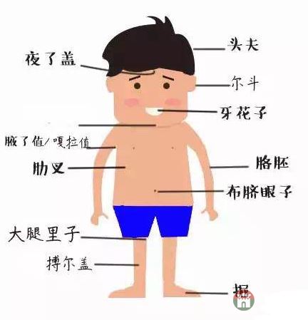 只有莒縣人才能看懂的人體構(gòu)造圖，好深奧好羞澀