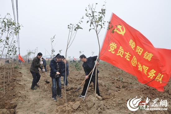 陵陽鎮(zhèn)黨員志愿者在植樹