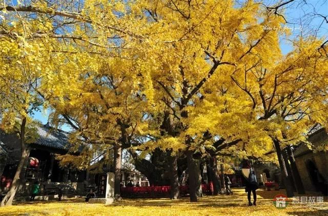 再過幾天，莒縣這個地方要火……先睹為快！