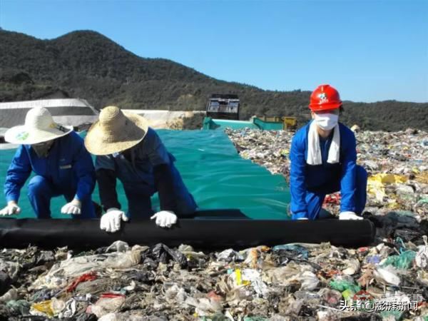 “逼瘋”上海人的垃圾分類背后，藏著中國(guó)人不知道的殘忍真相