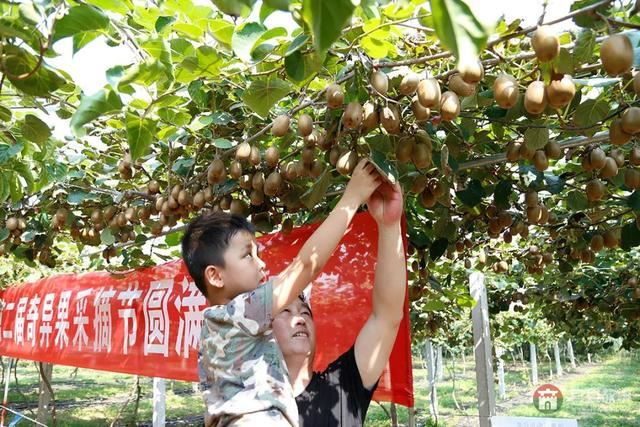 國慶假期莒縣最新“旅行情報(bào)圖”，為你泄密哪里“人從眾”