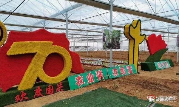 總投資1.2億元！莒縣這個(gè)“后花園”2020年上半年開門納客